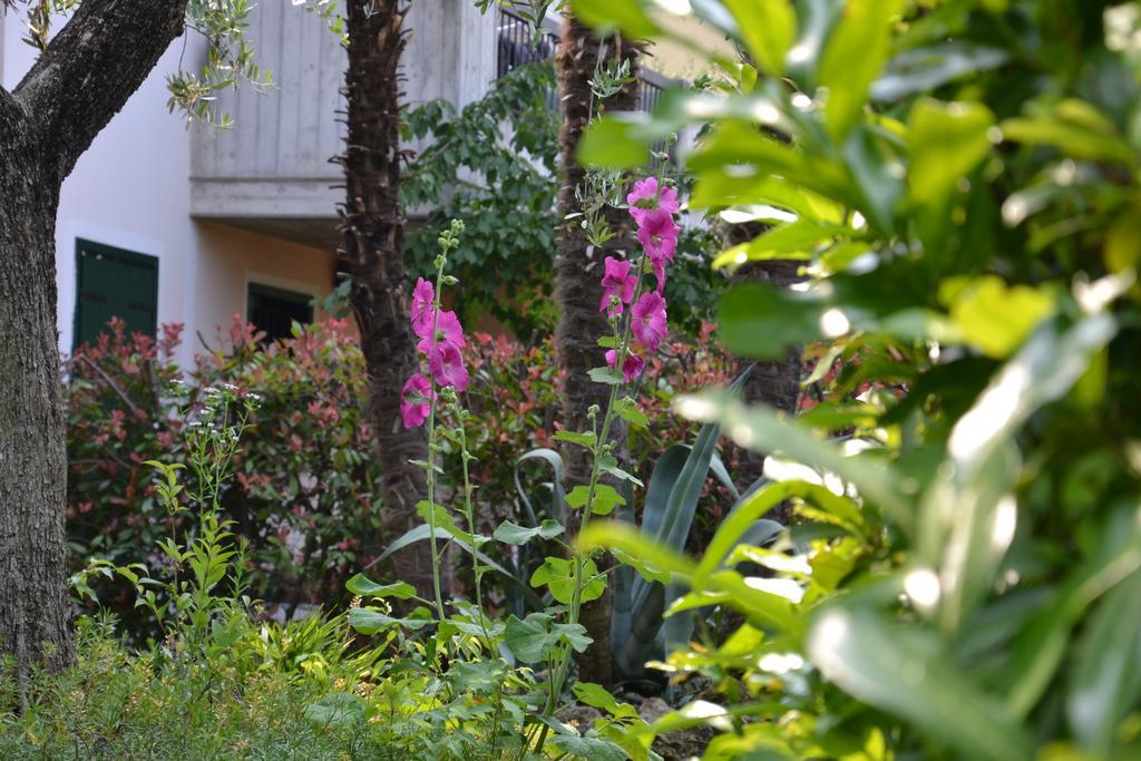 B&B Garda 4U Desenzano del Garda Zewnętrze zdjęcie